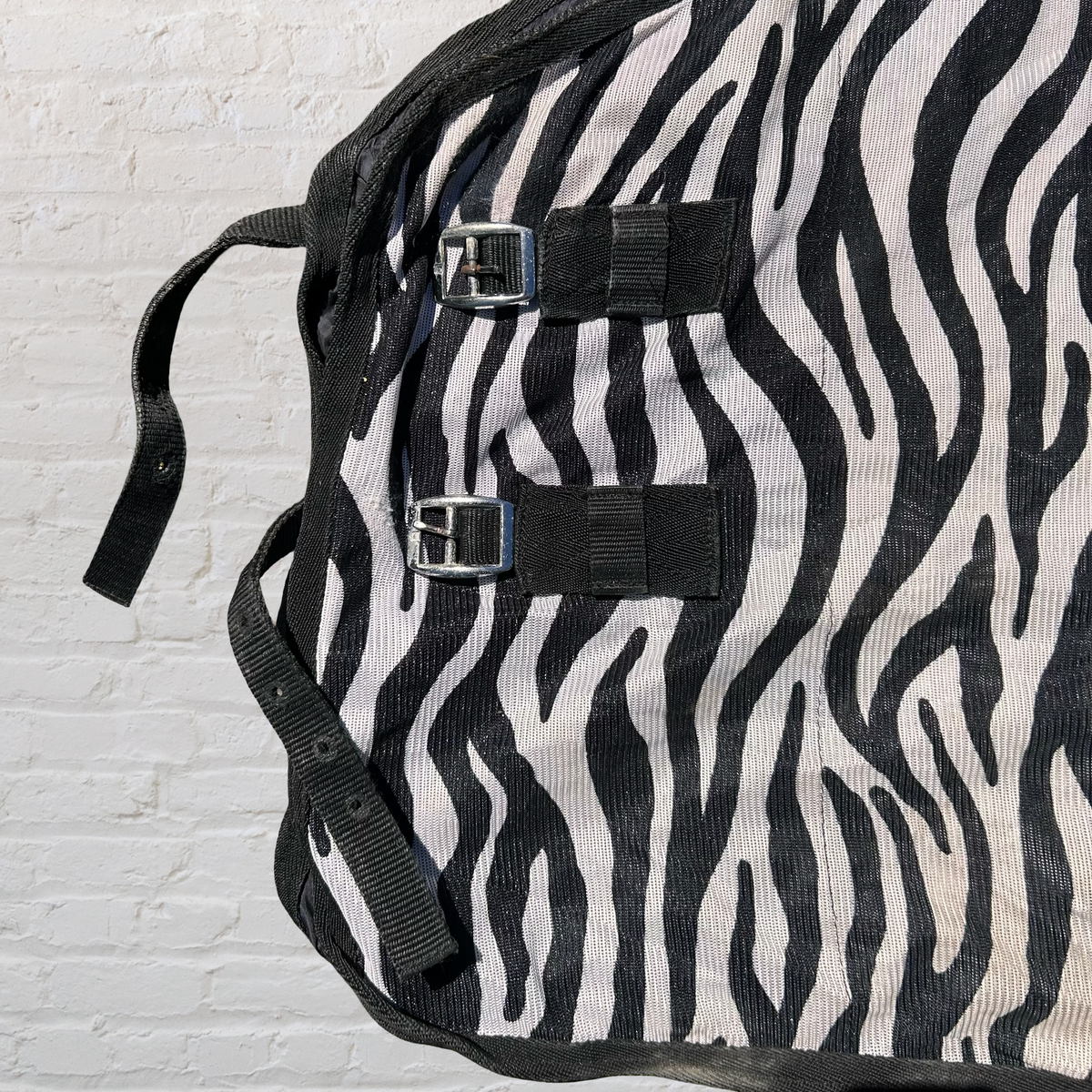 Harry's Horse Zebra Fly Sheet