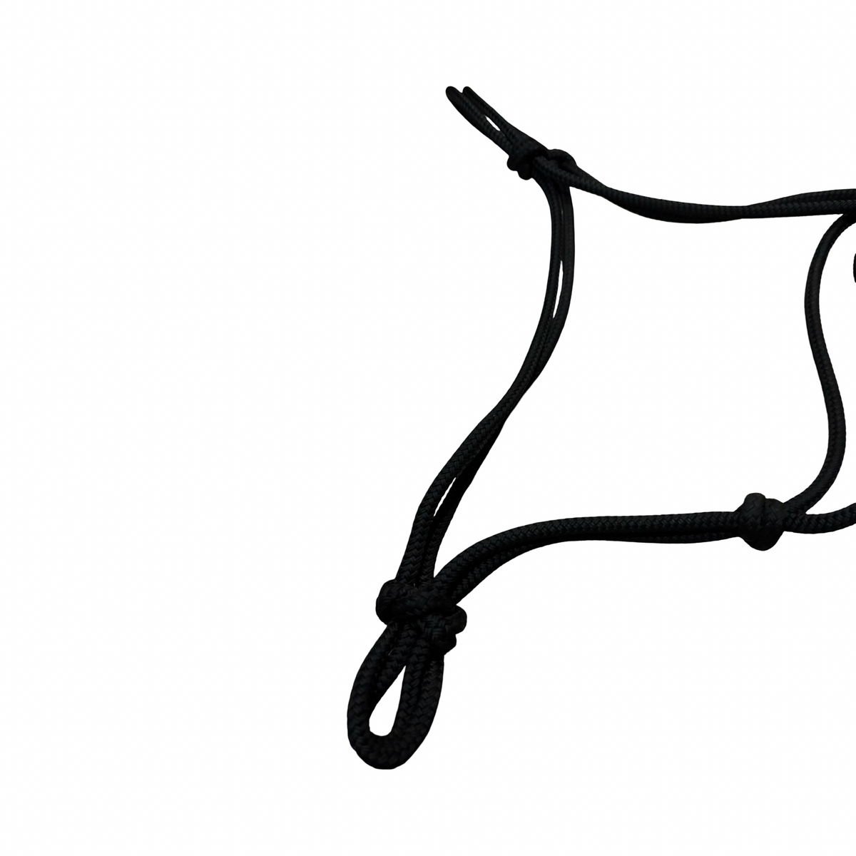 Rope halter - Draft