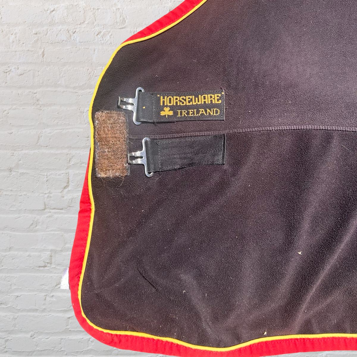 Horseware Ireland Cooler