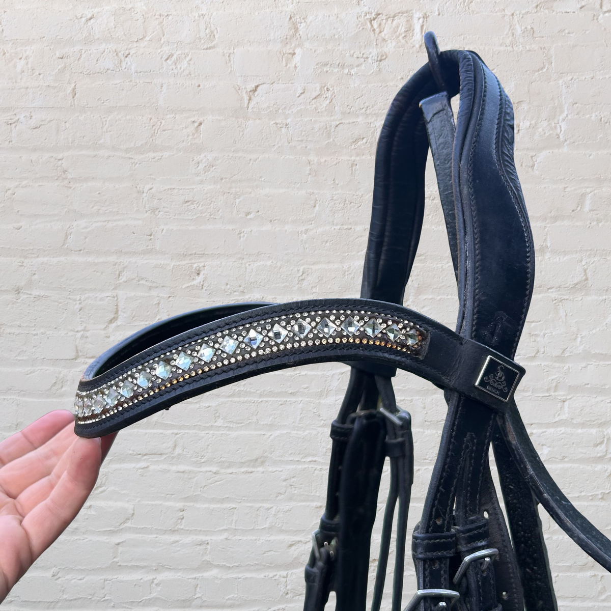 Double bridle with SD Designs Browband