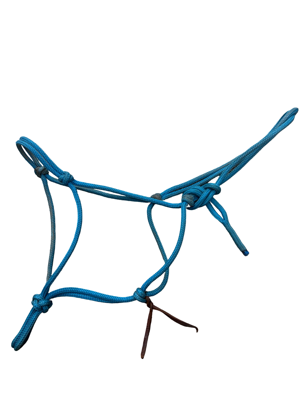 Rope halter - Horse size