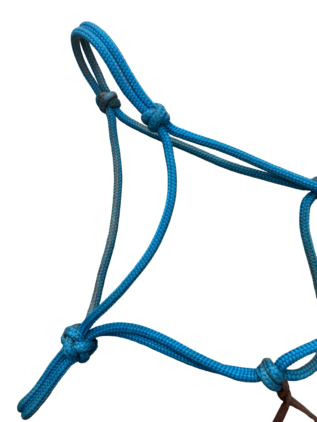 Rope halter - Horse size