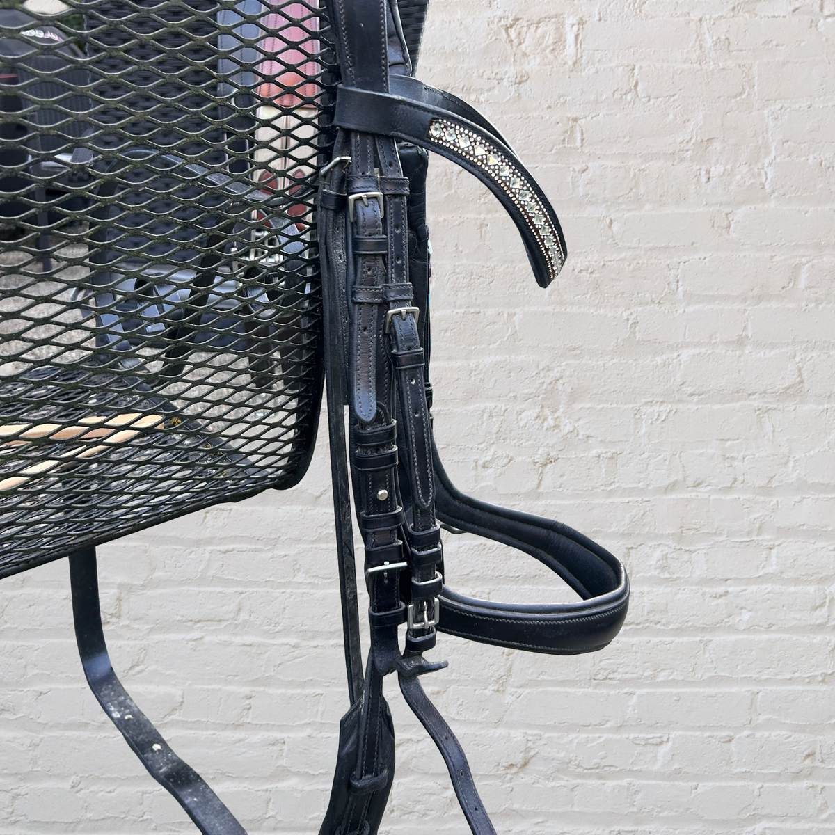 Double bridle with SD Designs Browband
