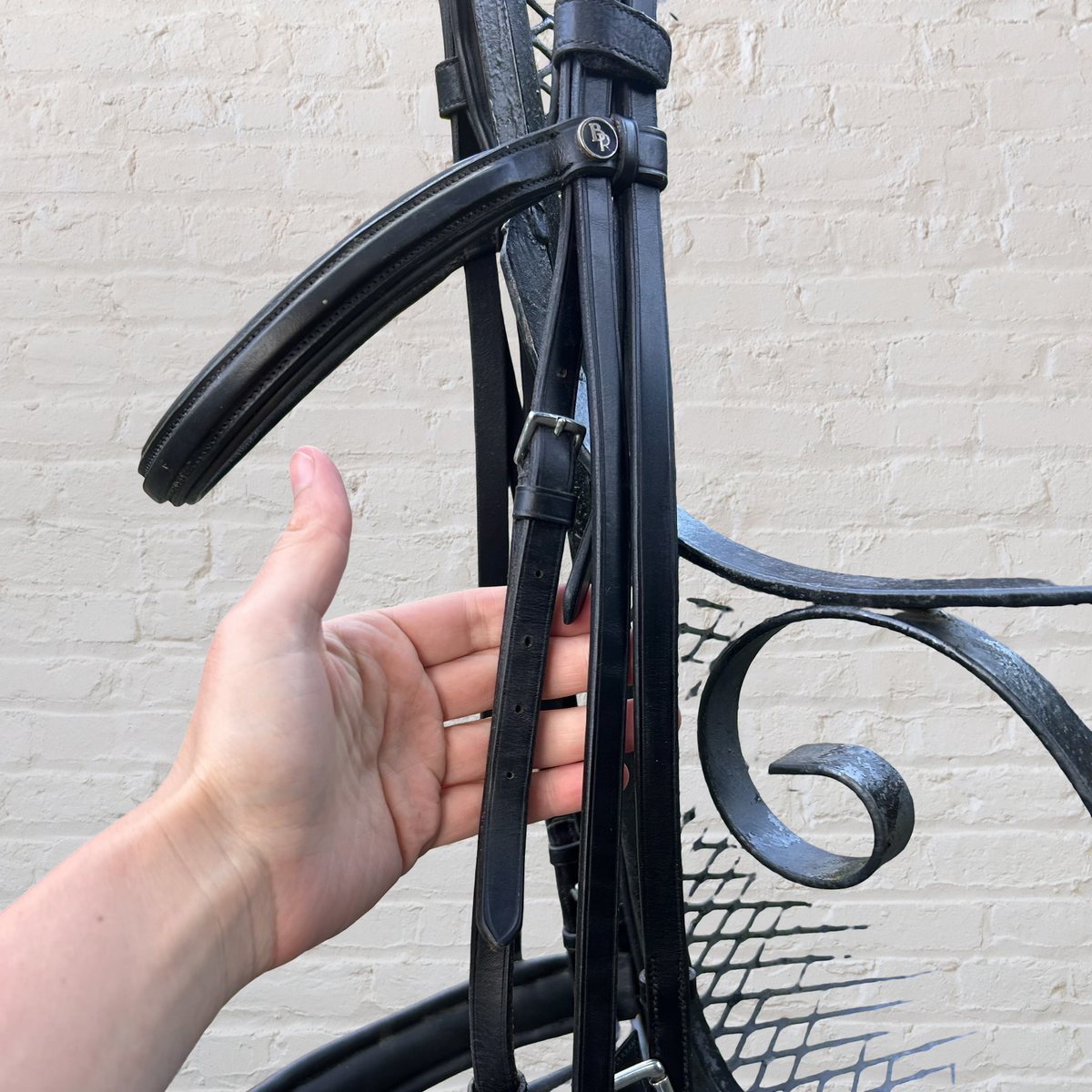 BR Double Bridle