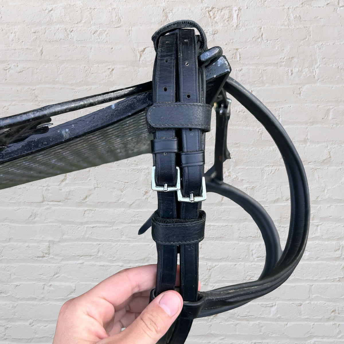 BR Double Bridle