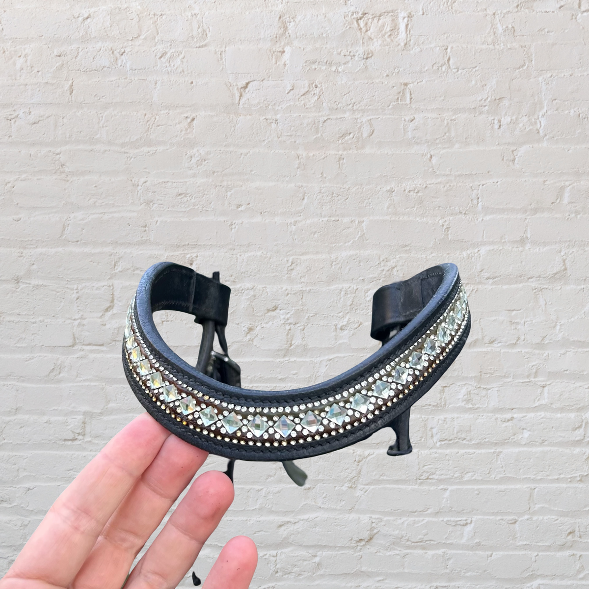 Double bridle with SD Designs Browband
