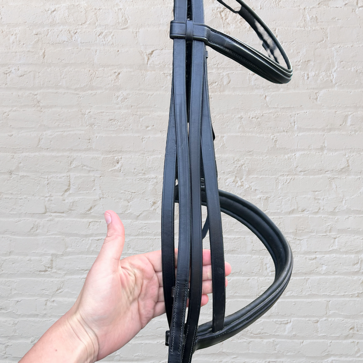 BR Double Bridle