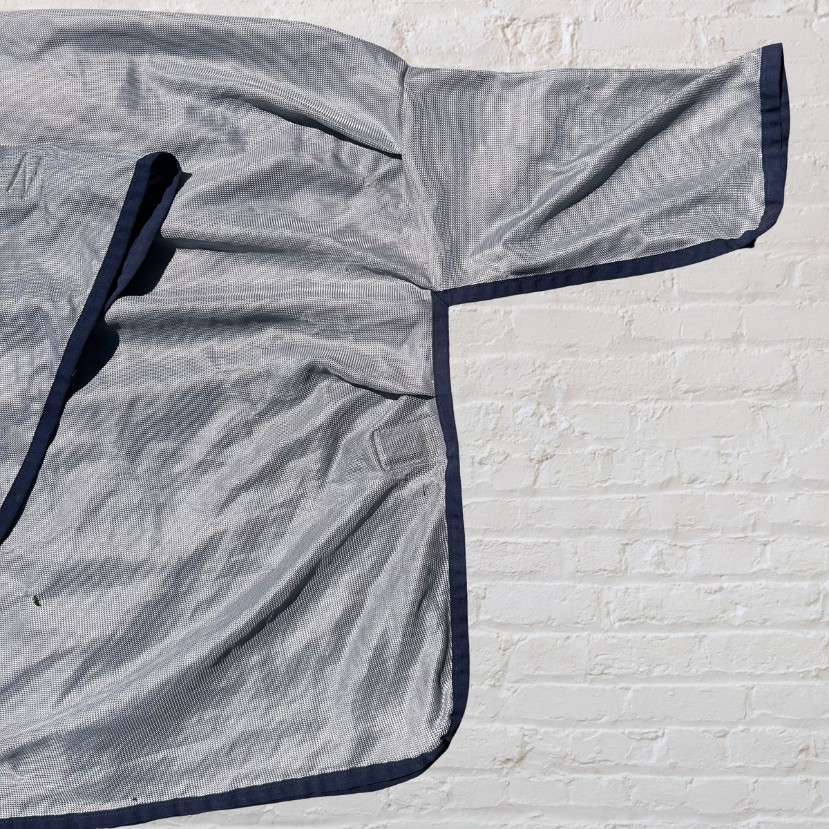 Bucas Buzz of Fly Sheet