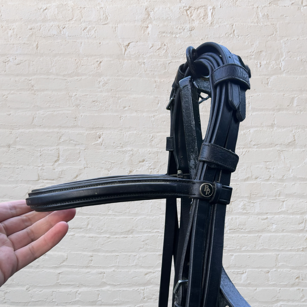 BR Double Bridle