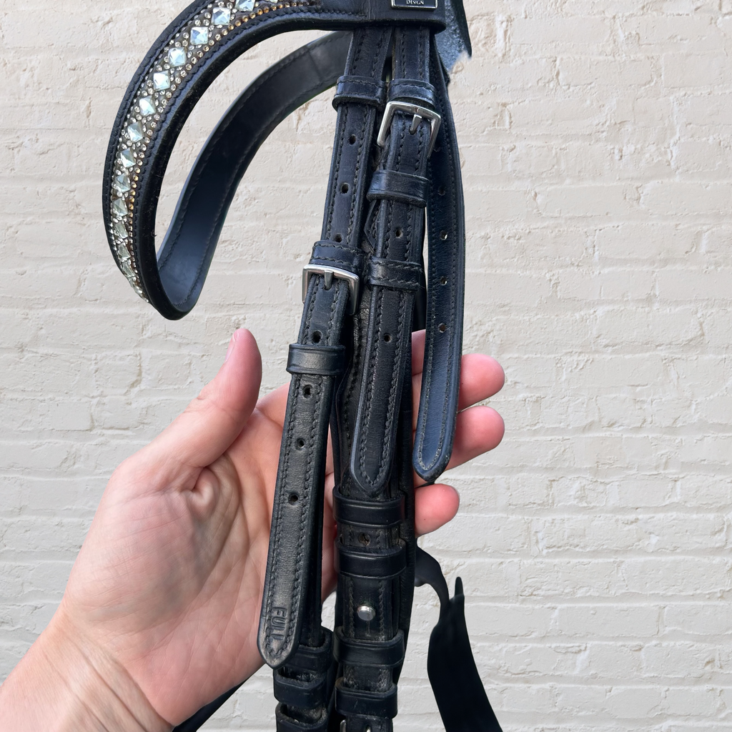 Double bridle with SD Designs Browband