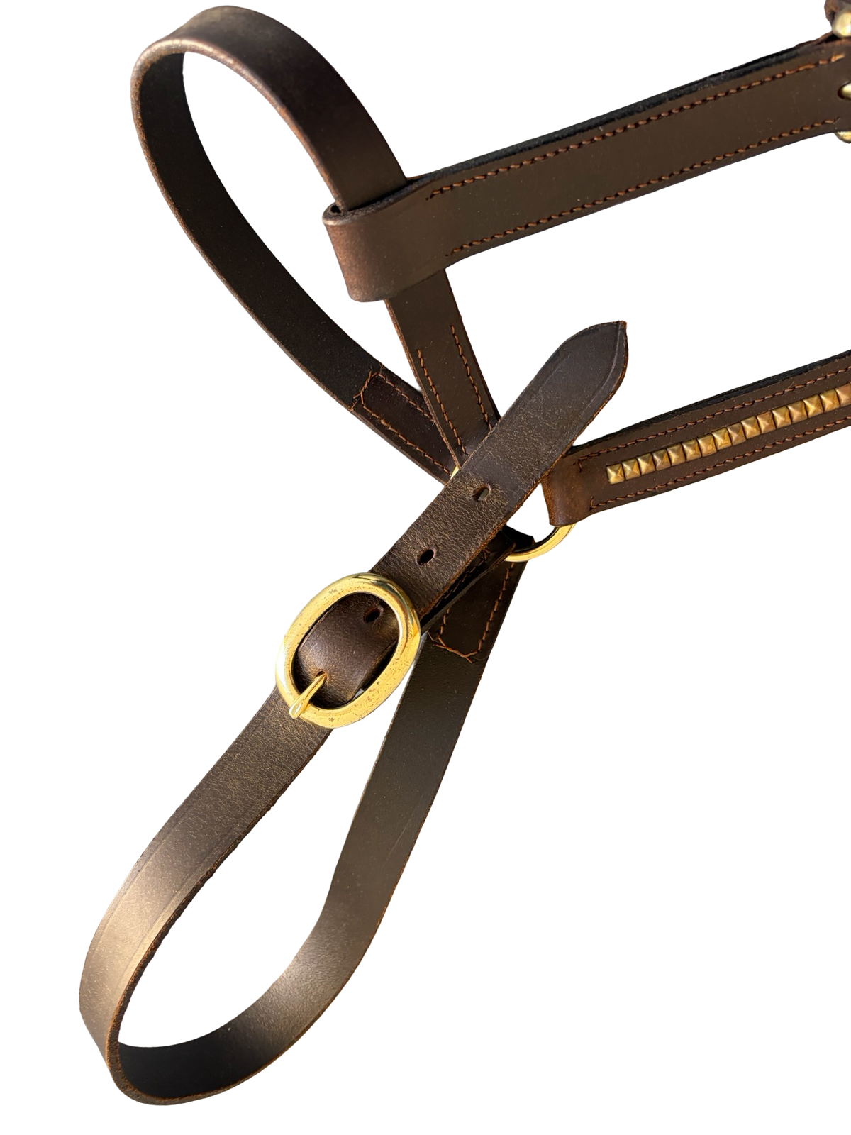 Dark Brown Halter w/ Brass - Full