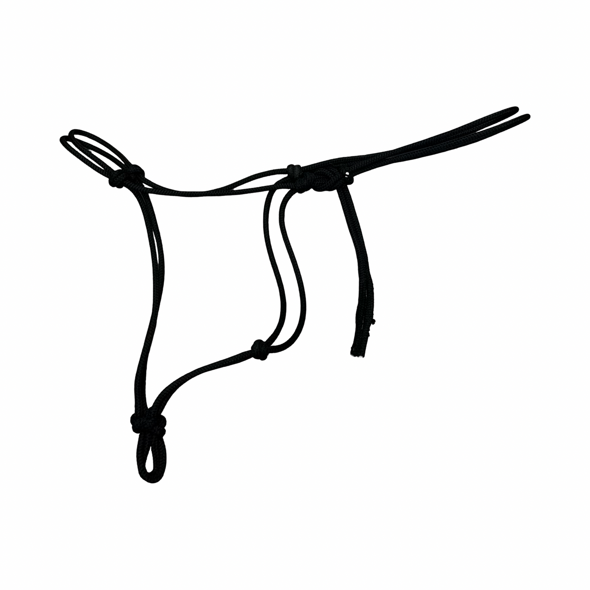 Bureau Rope Halter - Draft