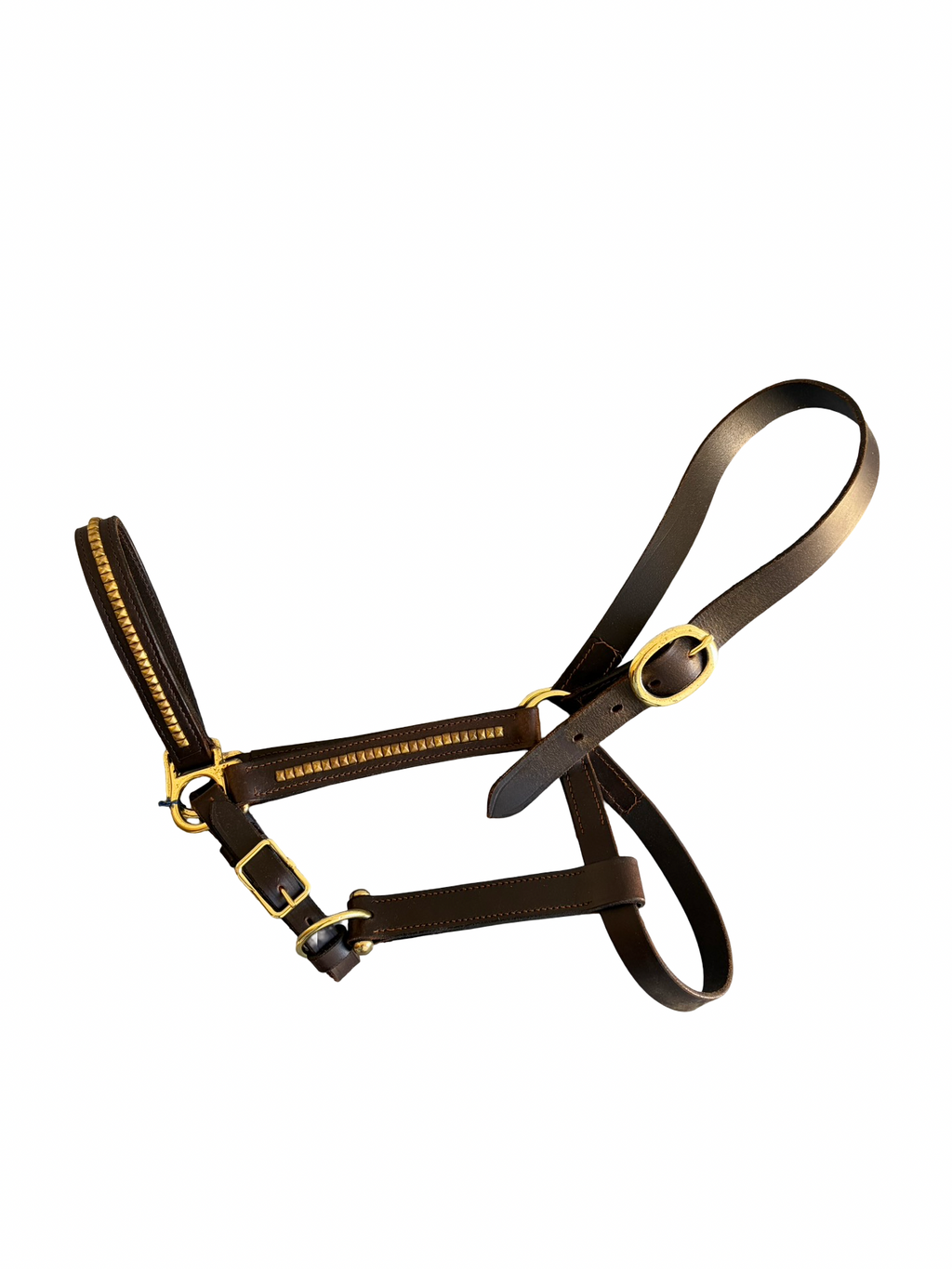 Dark Brown Halter w/ Brass - Full