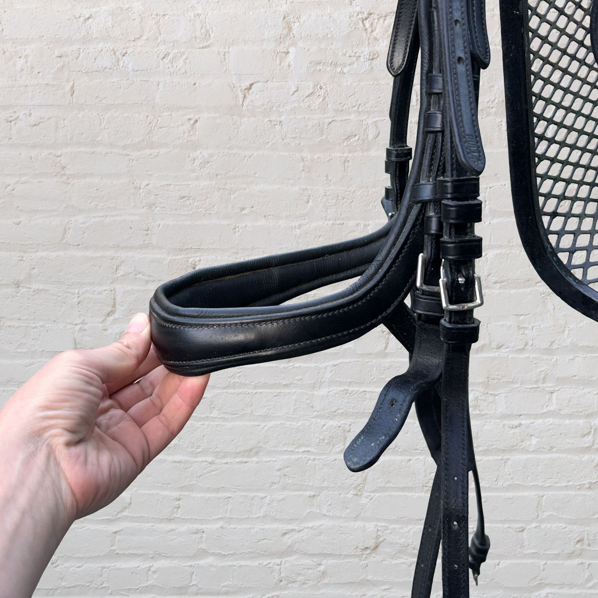 Double bridle with SD Designs Browband