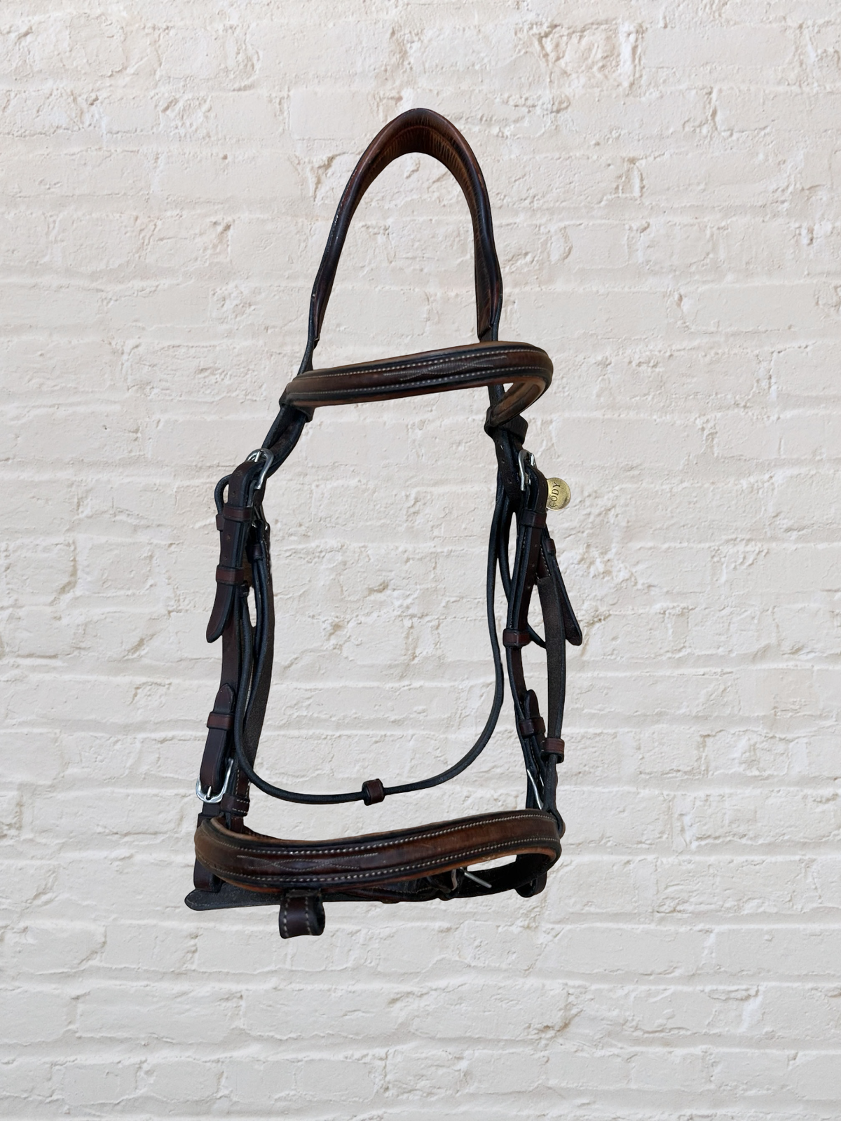 Antares Hunter Bridle