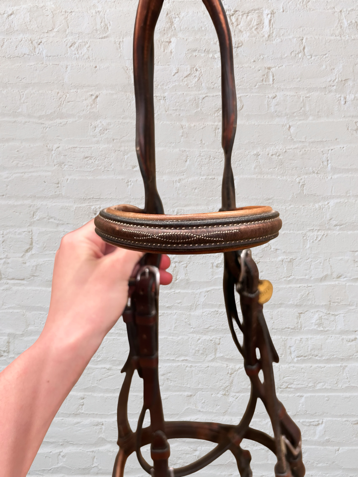 Antares Hunter Bridle