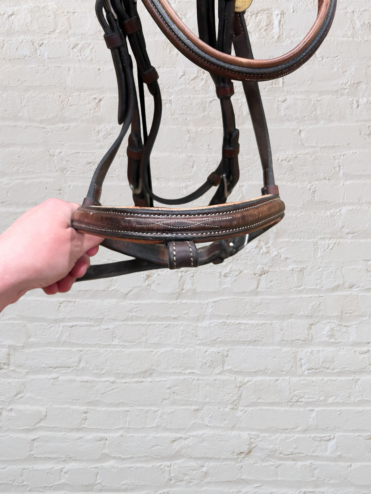 Antares Hunter Bridle