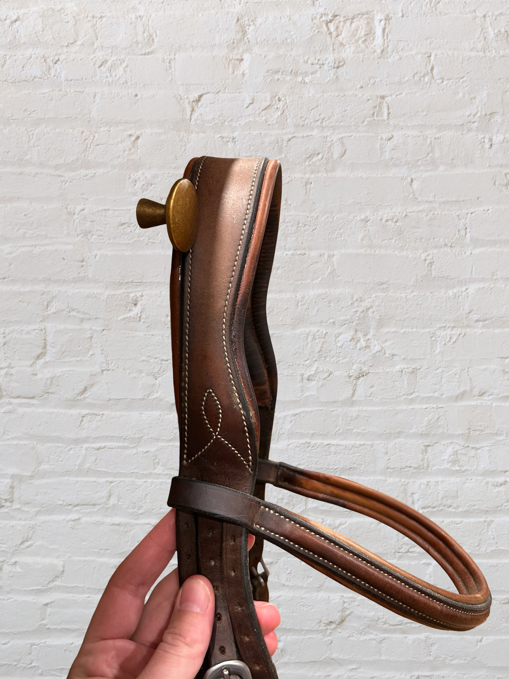 Antares Hunter Bridle