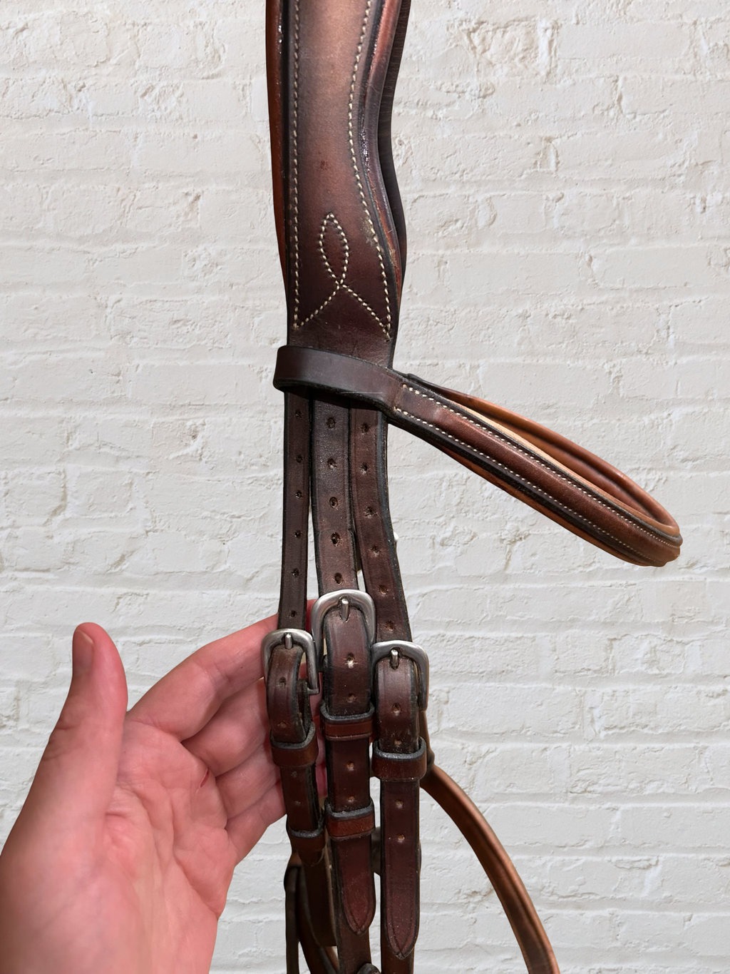 Antares Hunter Bridle