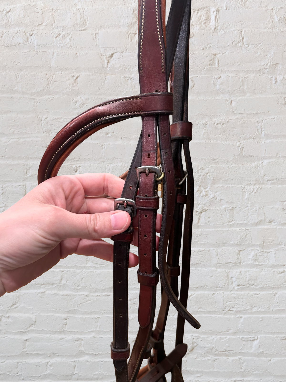 Schooling Bridle Full