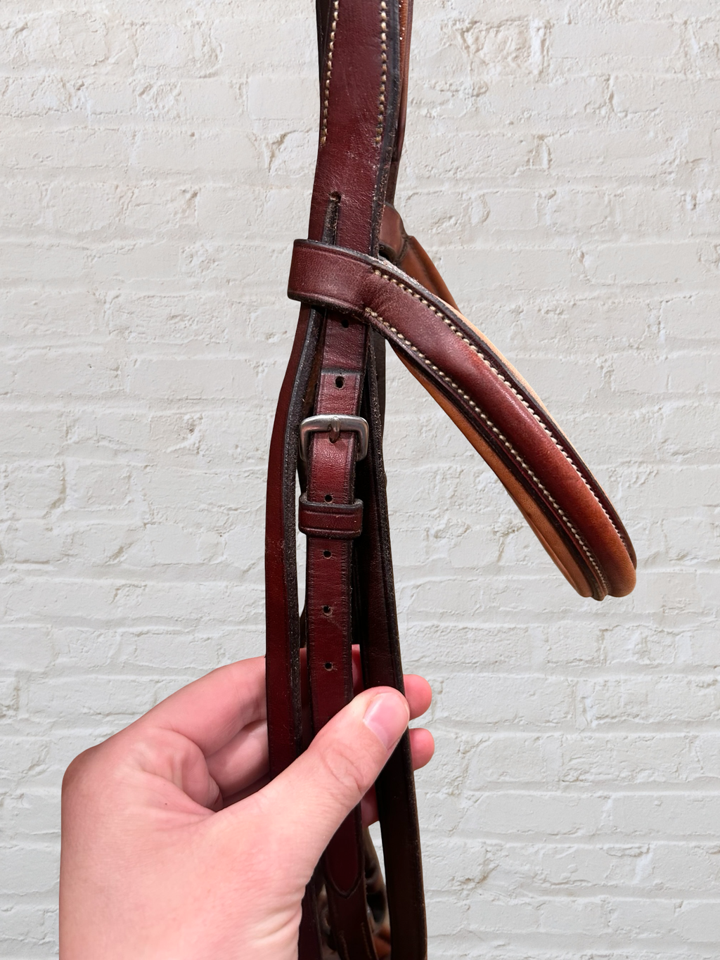 Schooling Bridle Full