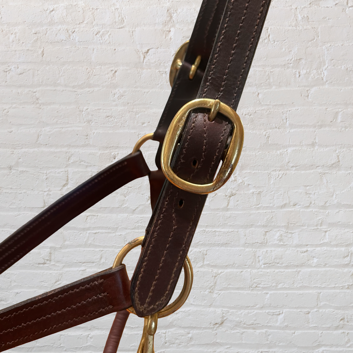 Warmblood Leather Halter