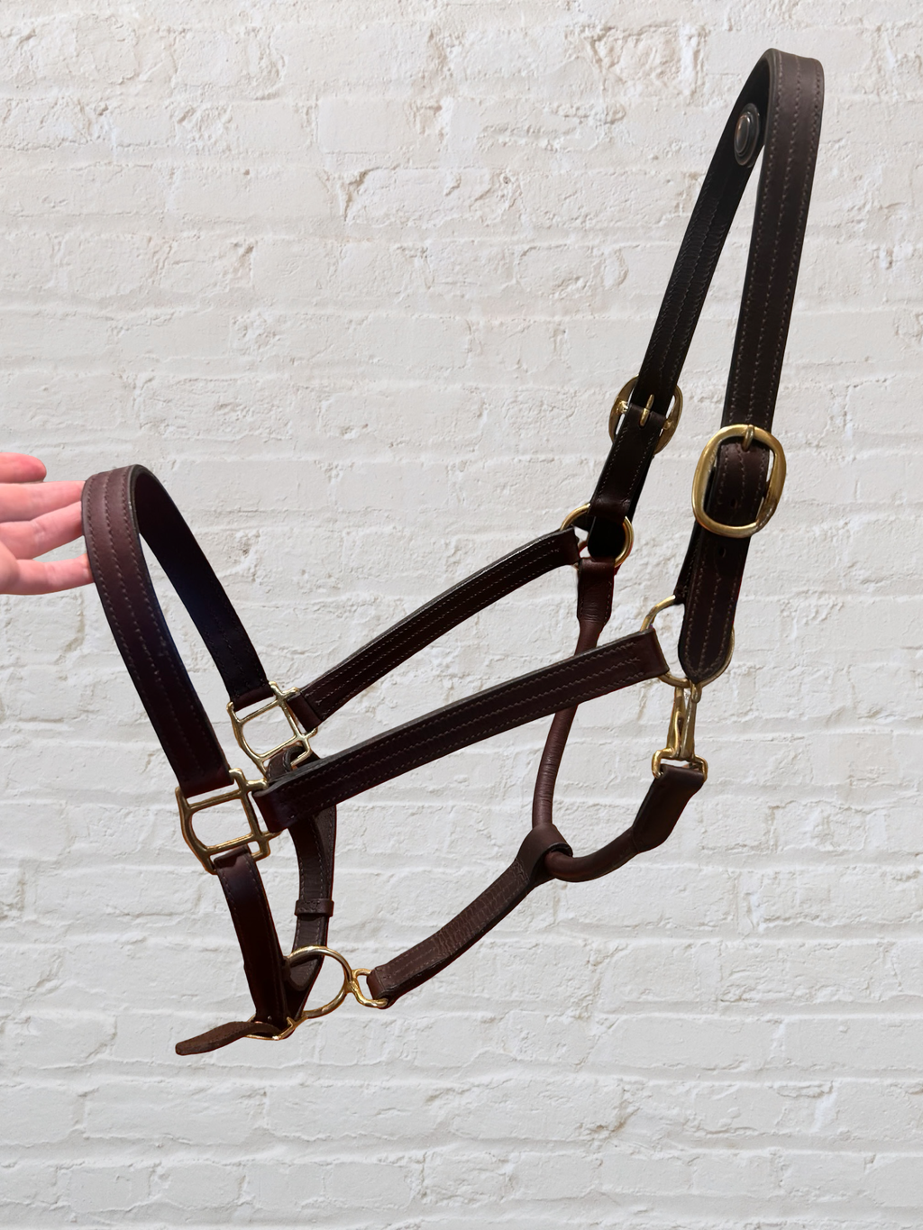 Warmblood Leather Halter