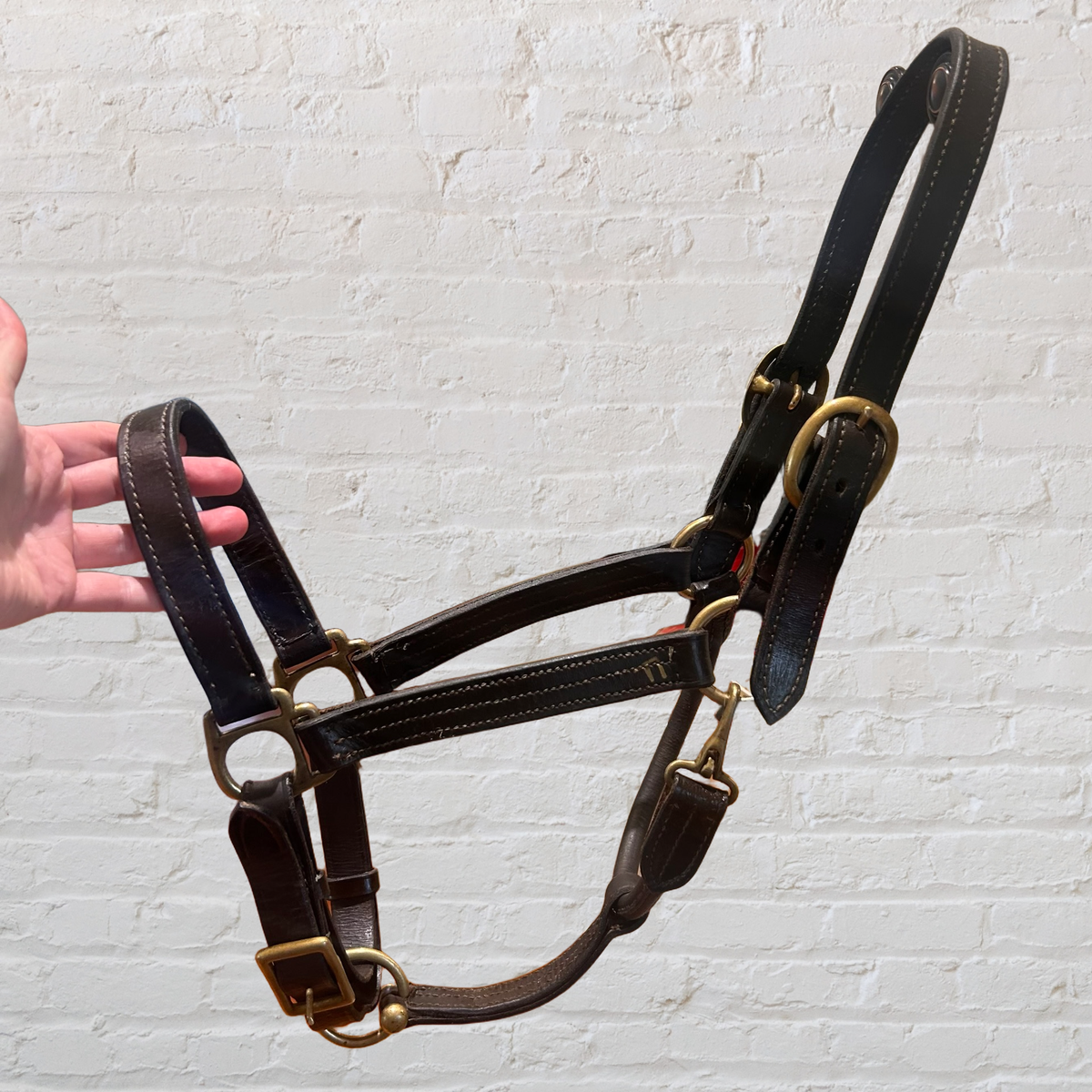 Full Leather Halter