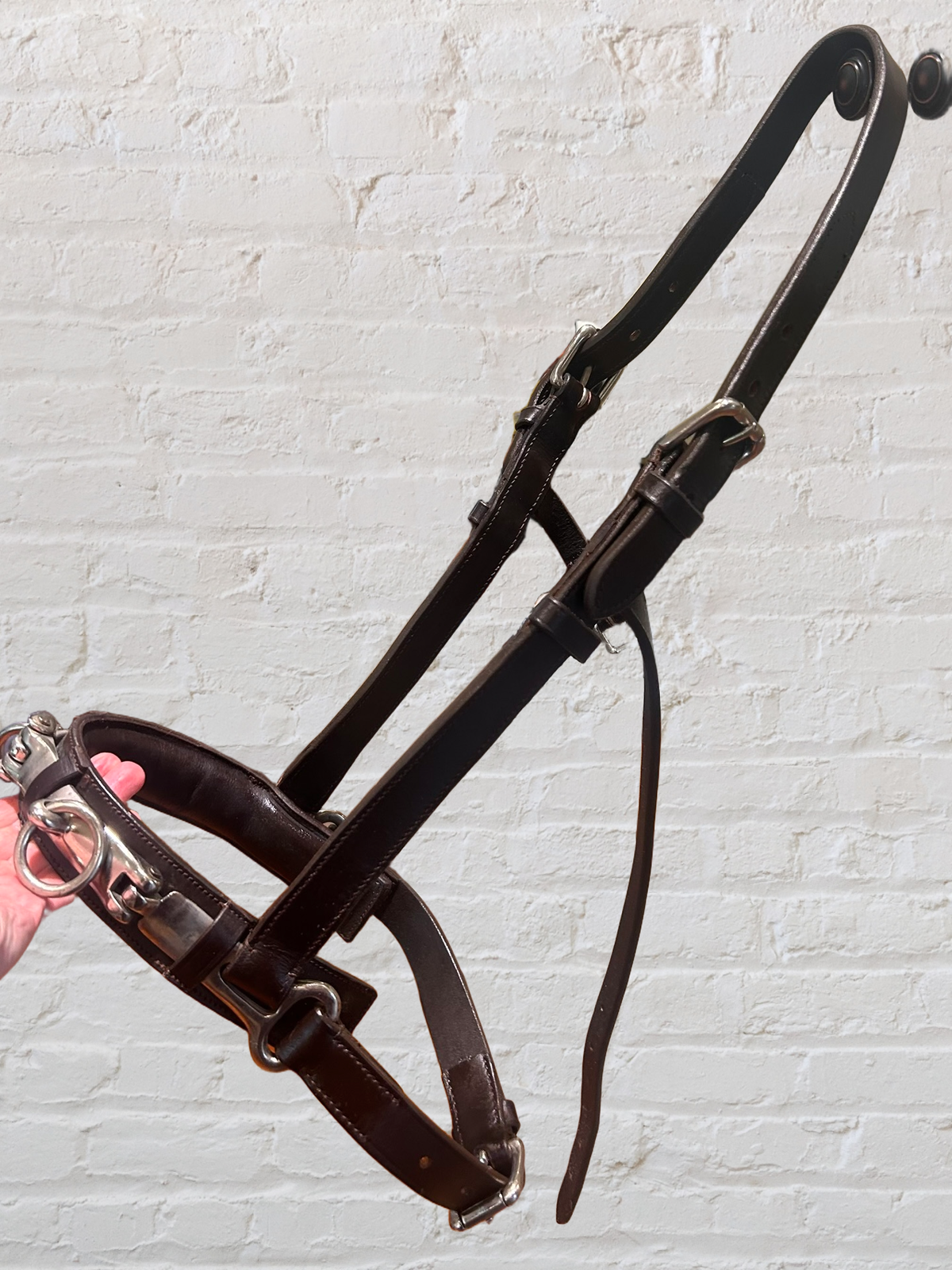 Leather Lunge Cavesson with Padded Noseband