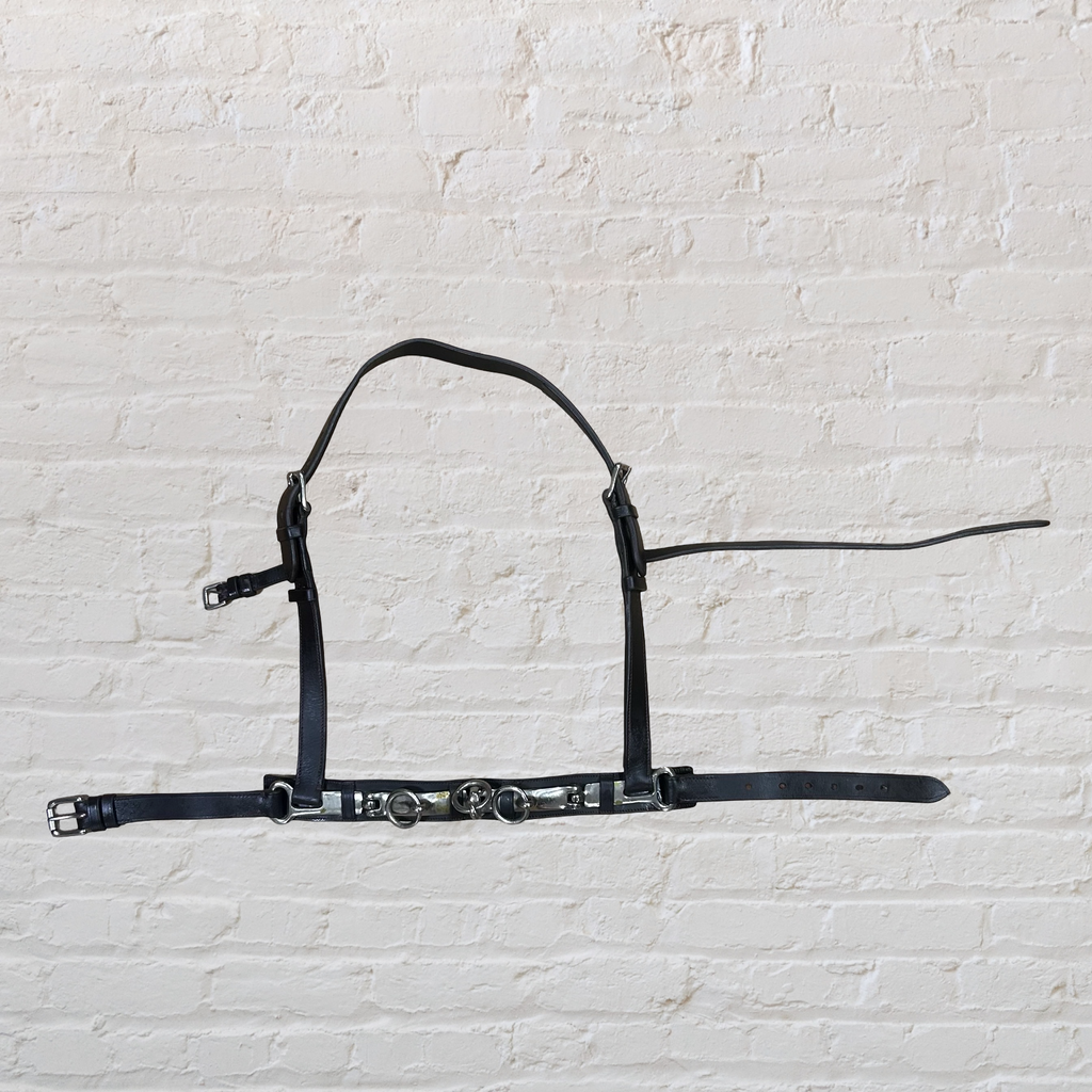 Leather Lunge Cavesson with Padded Noseband