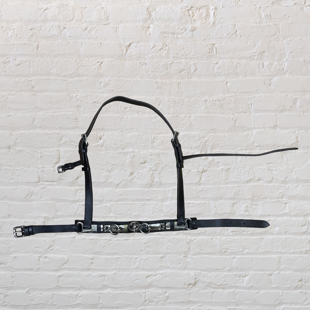 Leather Lunge Cavesson with Padded Noseband