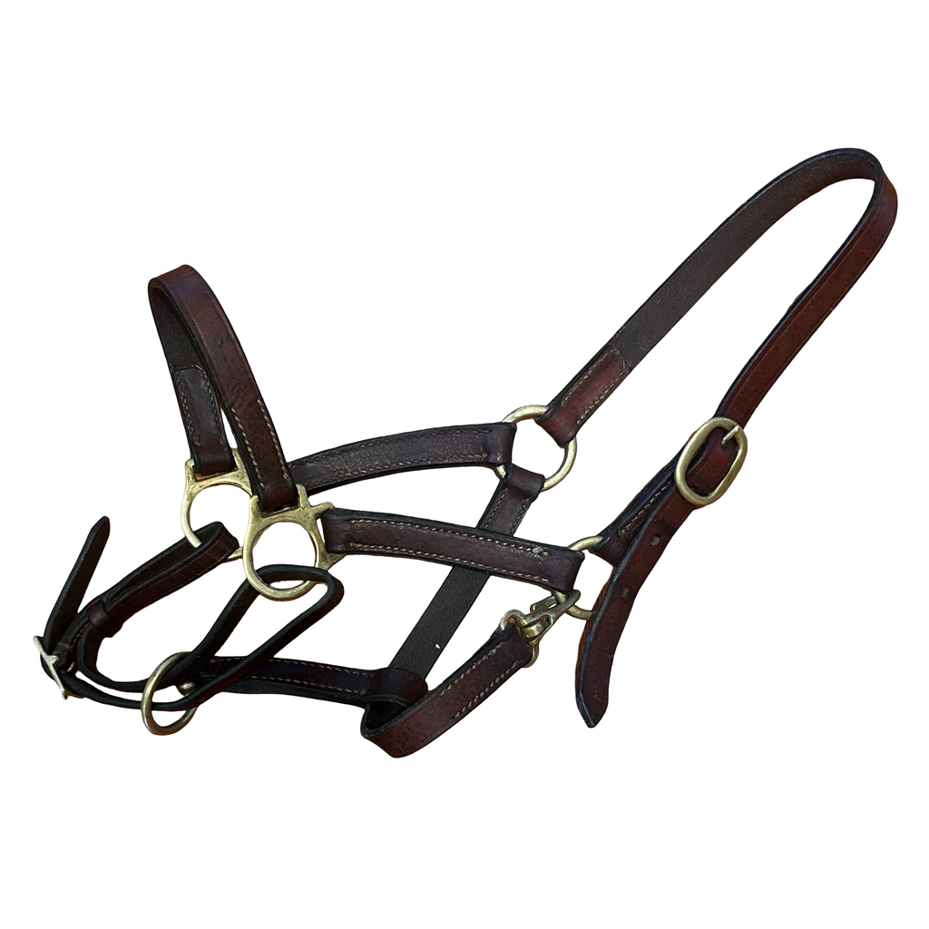 Pony leather halter - Brown