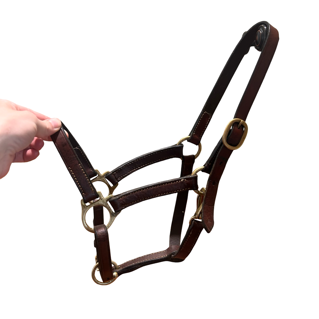 Pony leather halter - Brown