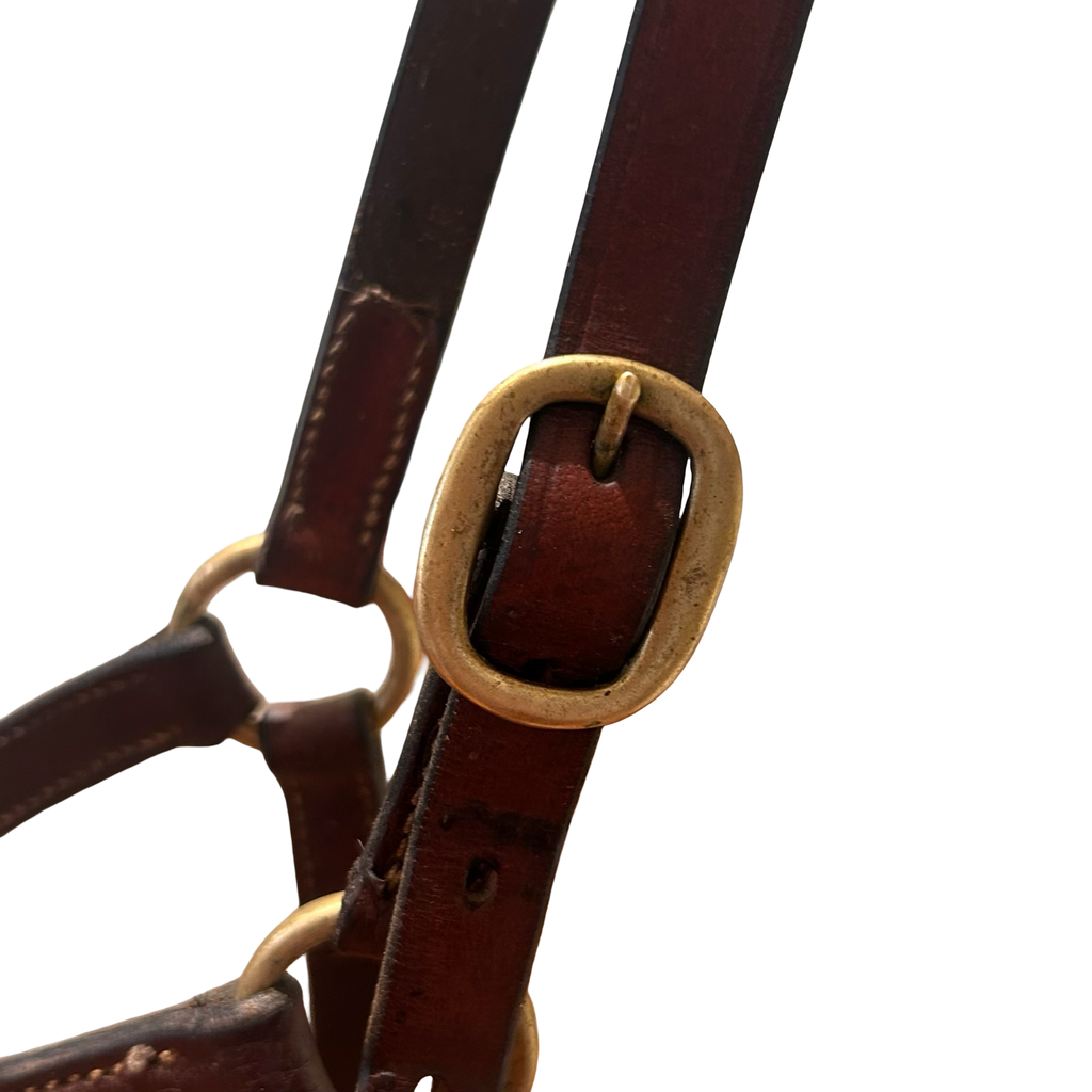 Pony leather halter - Brown