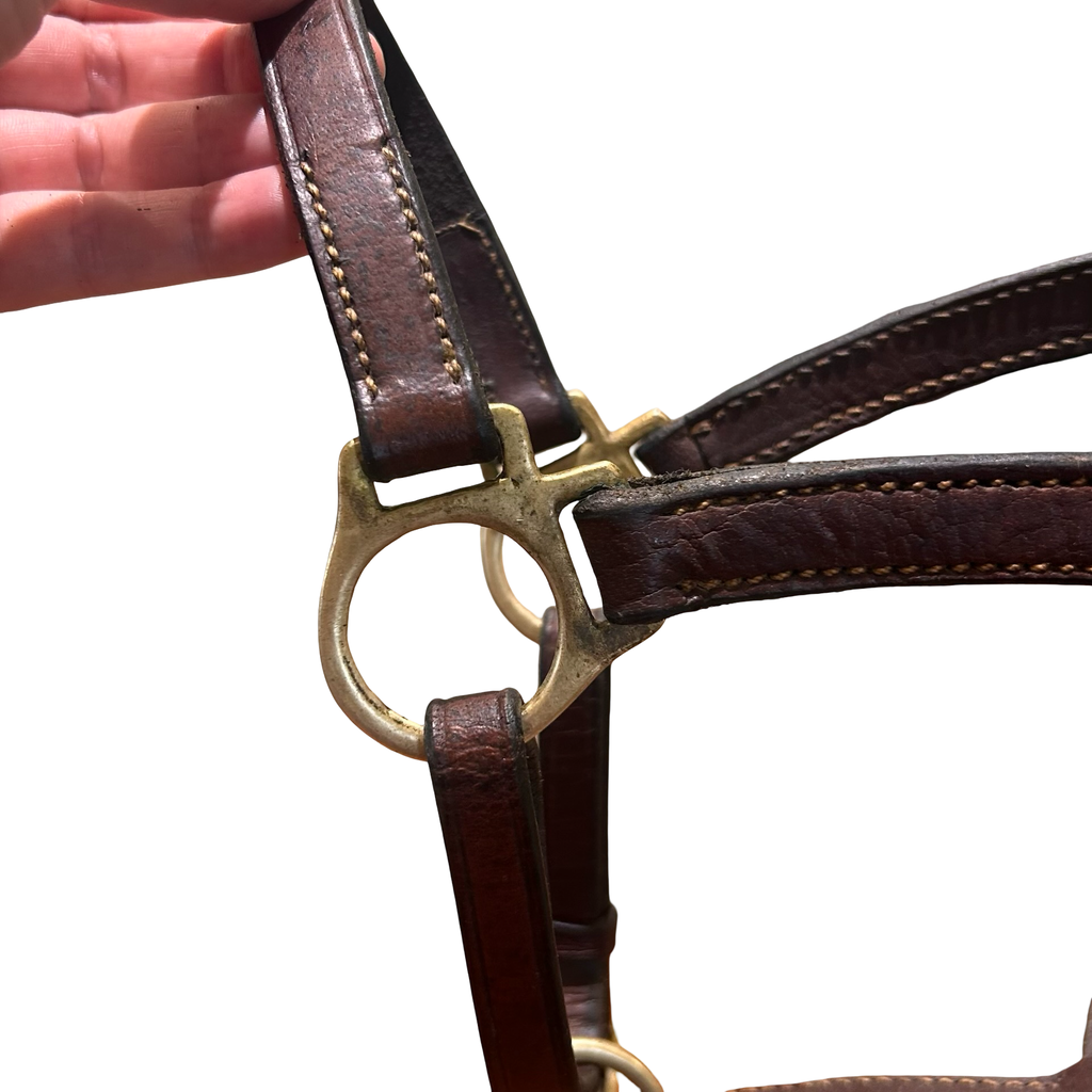 Pony leather halter - Brown