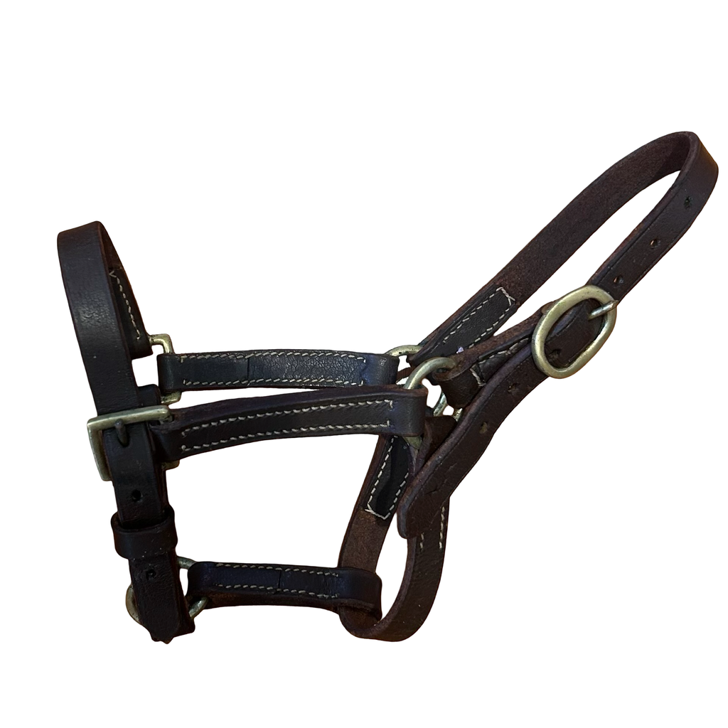 Mini leather halter