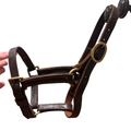 Mini leather halter