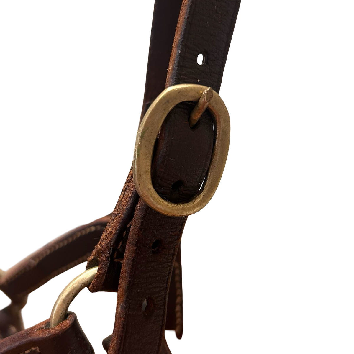 Pony leather halter - Brown