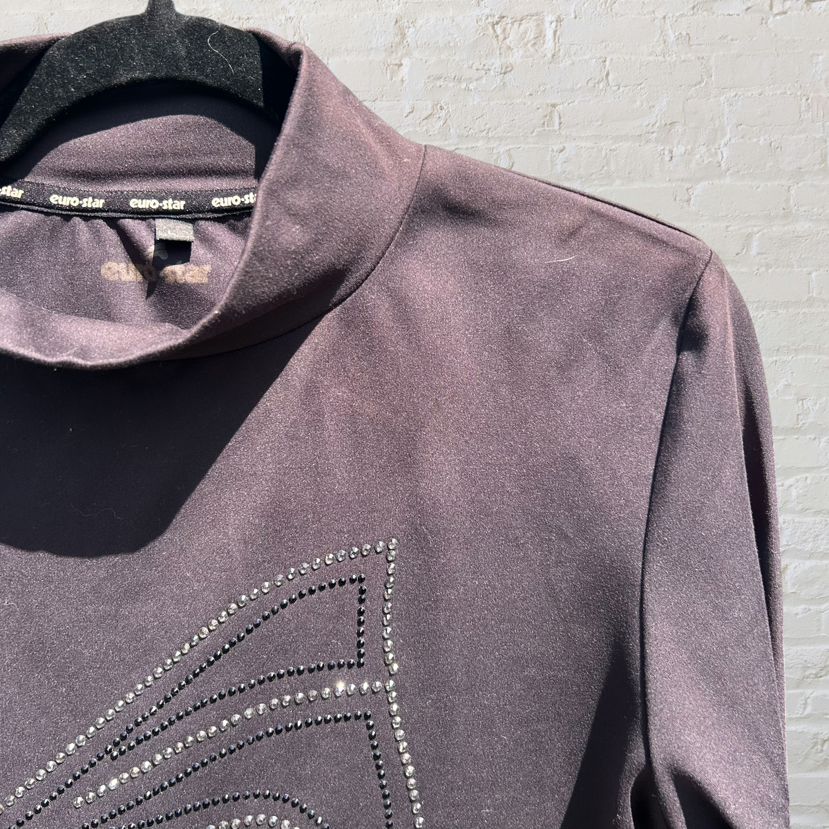 Euro-Star Equestrian Long Sleeve Shirt
